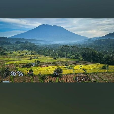 Lumbung Ayu Sari And Spa Сидемен Экстерьер фото