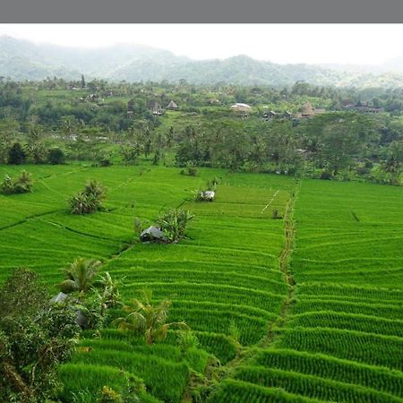 Lumbung Ayu Sari And Spa Сидемен Экстерьер фото