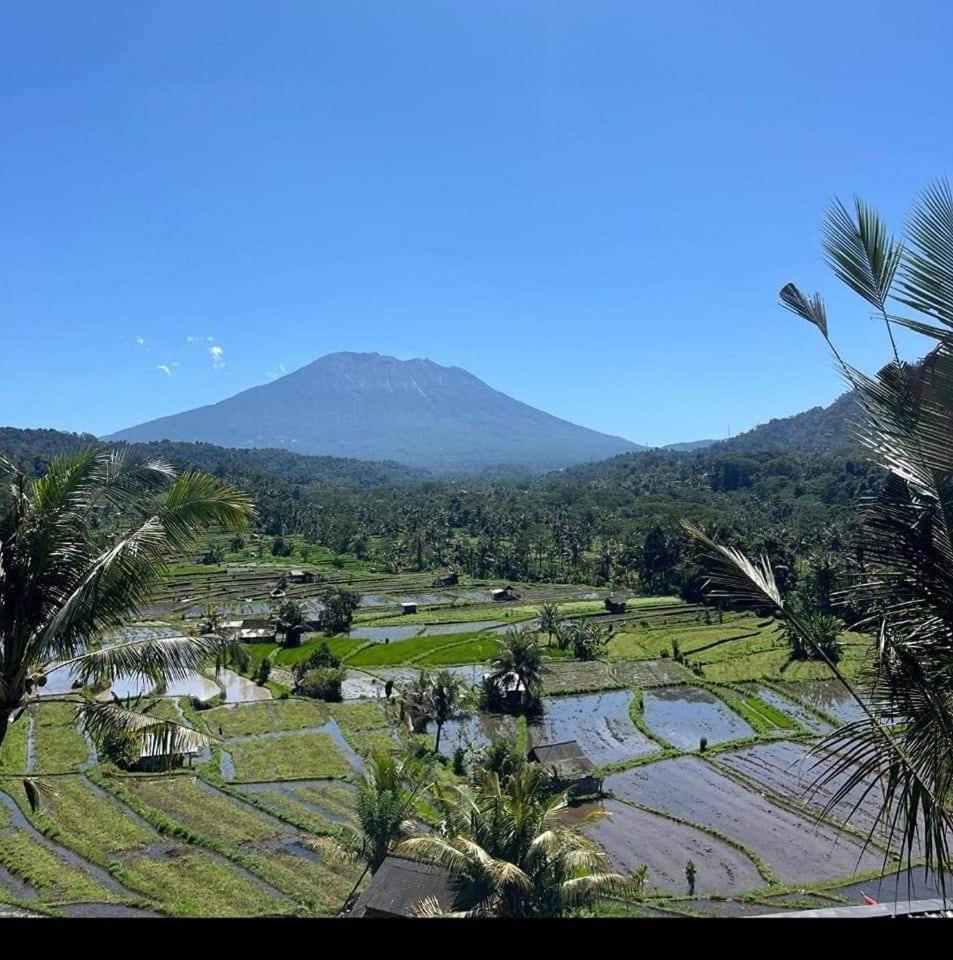 Lumbung Ayu Sari And Spa Сидемен Экстерьер фото