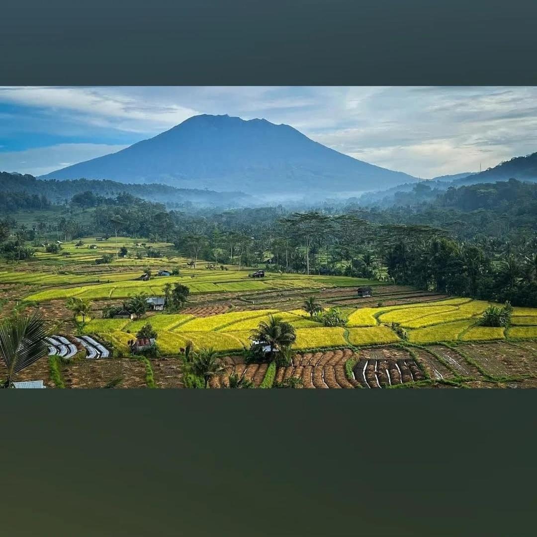 Lumbung Ayu Sari And Spa Сидемен Экстерьер фото