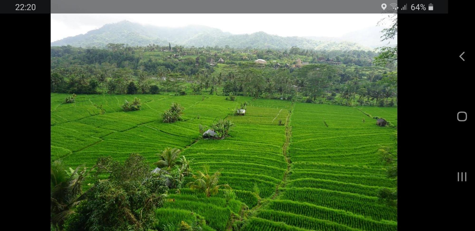 Lumbung Ayu Sari And Spa Сидемен Экстерьер фото